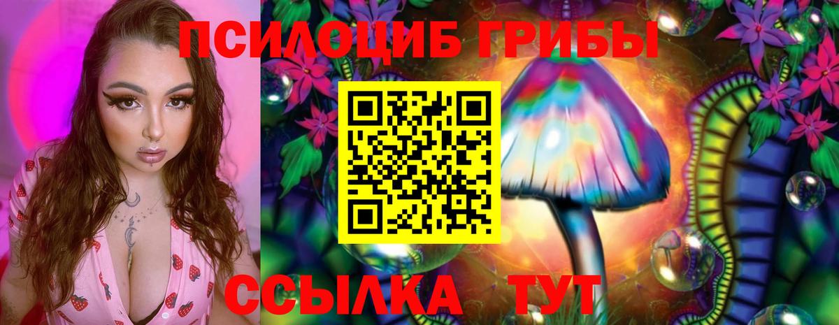 Псилоцибиновые грибы Magic Shrooms  Вход с VPN  Северск 